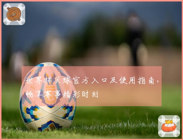 世界杯买球官方入口及使用指南，畅享赛事精彩时刻