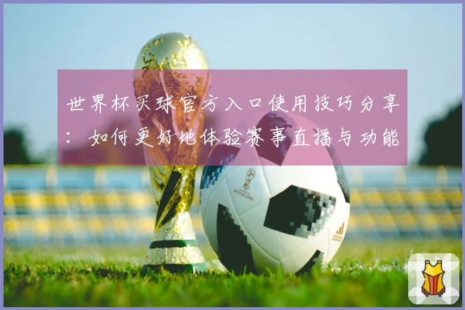 世界杯买球官方入口使用技巧分享：如何更好地体验赛事直播与功能操作