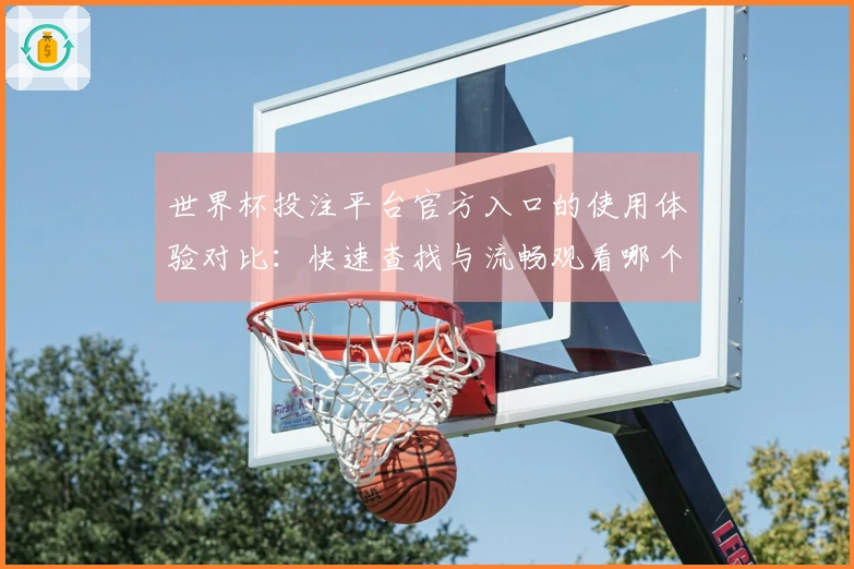 世界杯投注平台官方入口的使用体验对比:快速查找与流畅观看哪个更胜一筹?