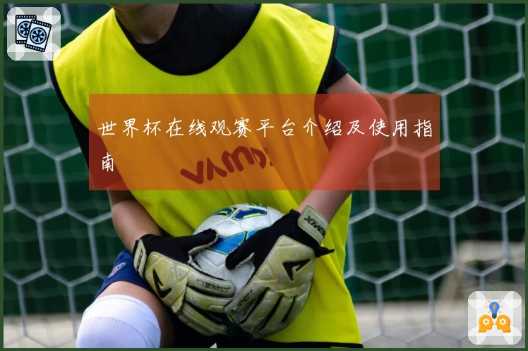 世界杯在线观赛平台介绍及使用指南