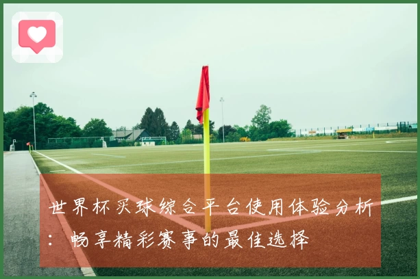 世界杯买球综合平台使用体验分析：畅享精彩赛事的最佳选择