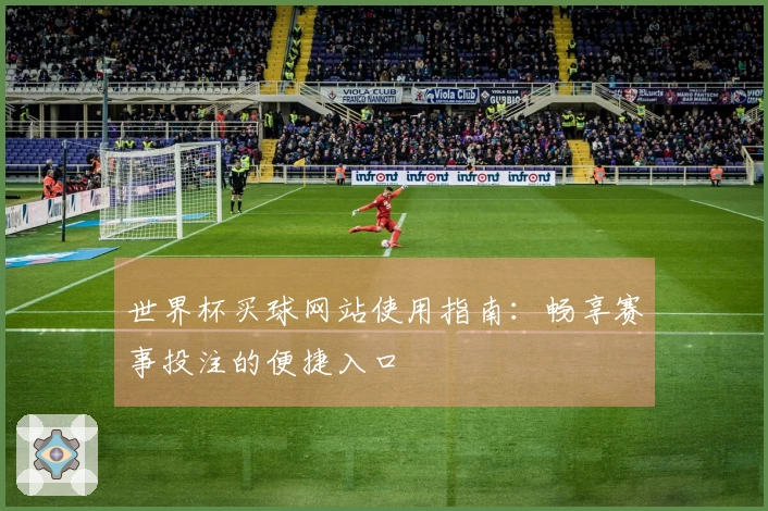 世界杯买球网站使用指南：畅享赛事投注的便捷入口