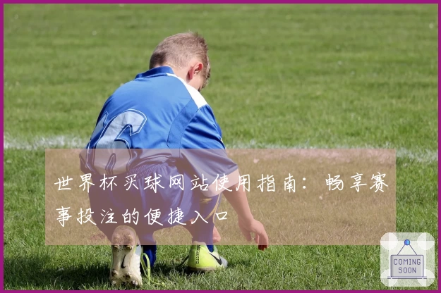 世界杯买球网站使用指南：畅享赛事投注的便捷入口