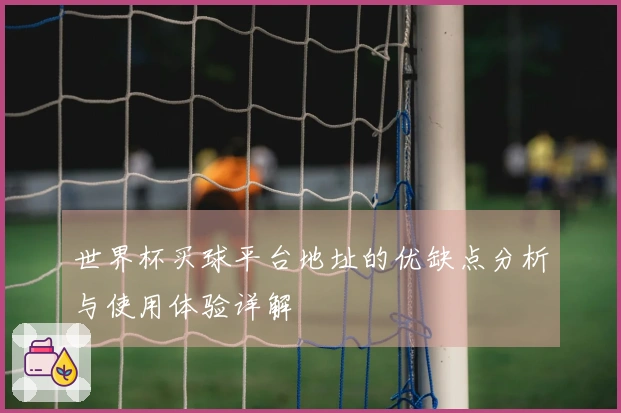 世界杯买球平台地址的优缺点分析与使用体验详解