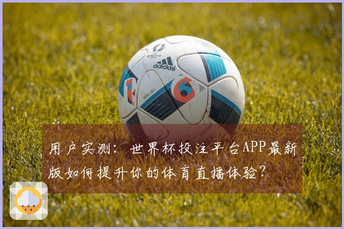 用户实测：世界杯投注平台APP最新版如何提升你的体育直播体验？